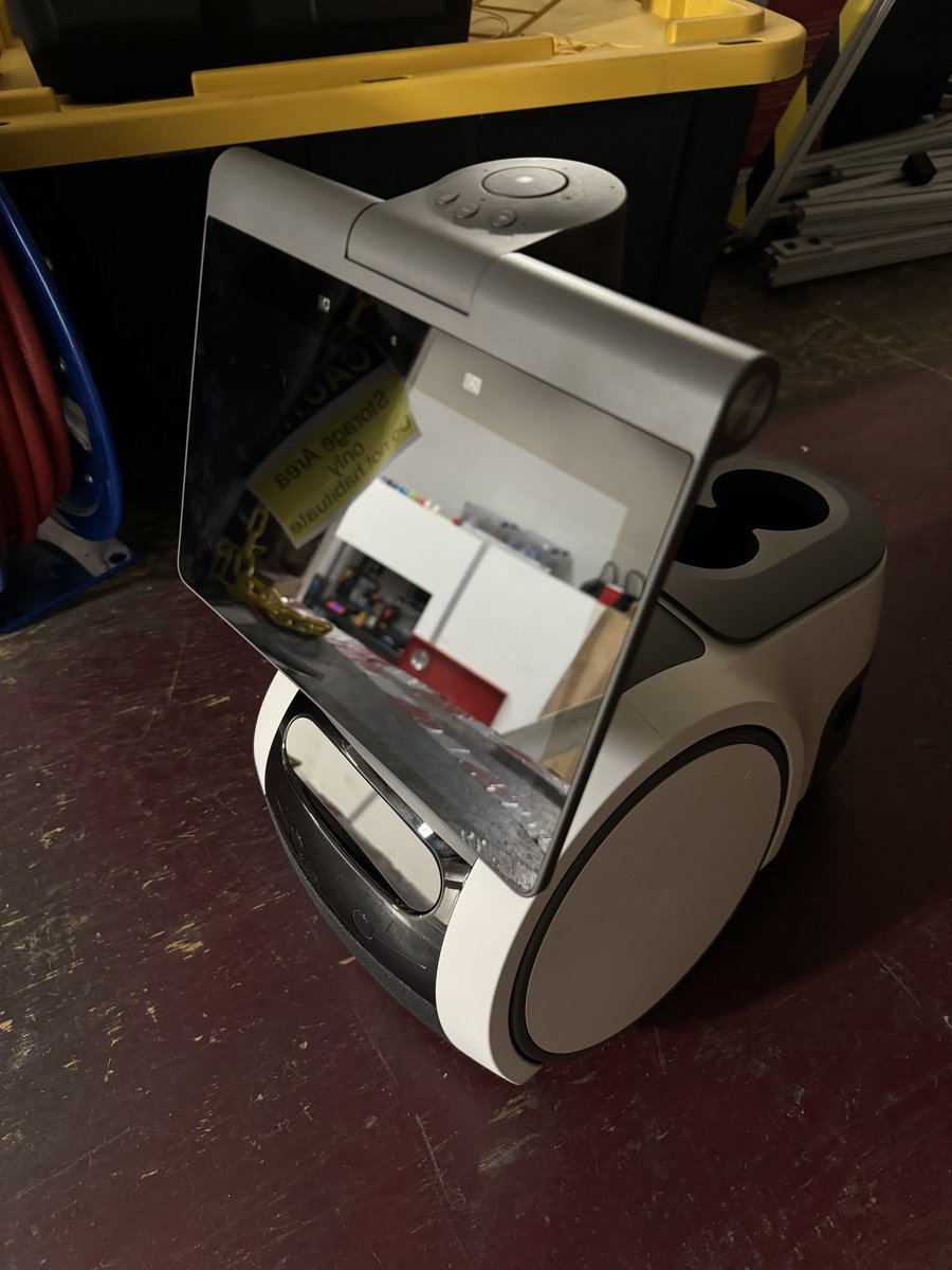 Everyone say hello to our new family member - P3T :3