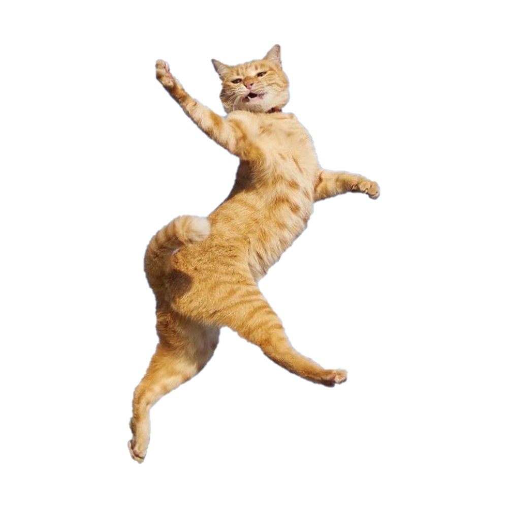 MEMES GET US HIGHER!☝️😹

CONTEST:
WE WILL GIVE 100K $SMH (EACH) TO THE TOP 10 MEMES SUBMITTED!

RULES: 
FOLLOW US
LIKE AND RETWEET THE POST
JOIN OUR TG (LINK BELOW)
POST A MEME ON THIS POST
USE OUR "HIGHER CAT" ASSET IN THE MEME 

WINNERS CHOSEN IN 24 HOURS

SO MUCH HIGHER! #SMH