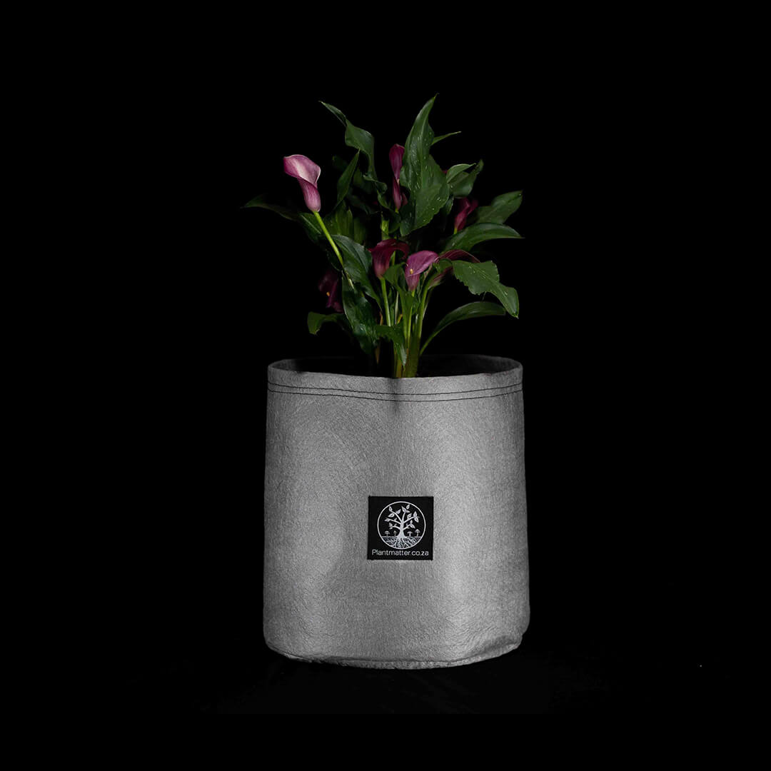 Cafe420za's tweet photo. Plant Matter Grow Bags are a local South African supplier of plant-first container grow solutions.
🪴🥕🥦🥔
✌️Now available from Cafe420🥦🔥😶‍🌫️
👉https://t.co/iSKPral2xX👈 https://t.co/qAjLW3qHBe