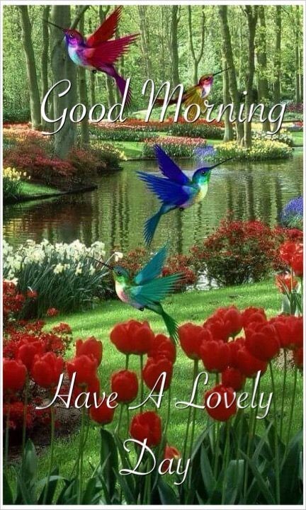 Have a beautiful day