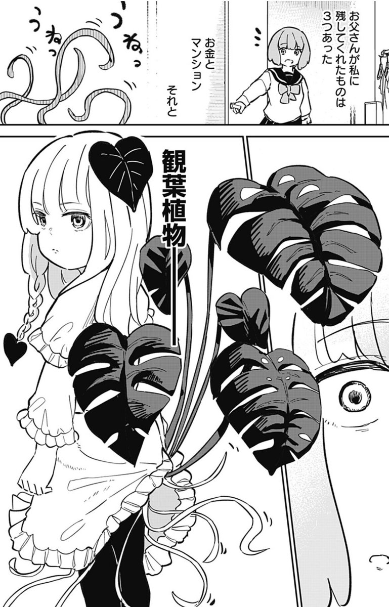 観葉植物の精と孤独な少女との絆物語!

『観葉妖精モンデリちゃん』秋本貴廣
https://t.co/8dcXvVz5NT

「ふたりぼっちの教室」でジャンプ+デビューを飾った秋本先生が再び登場!

父を亡くしたミキの前に突如現れた観葉妖精モンデリ。
孤独なミキの心に寄り添う心温まる物語をご堪能ください! 