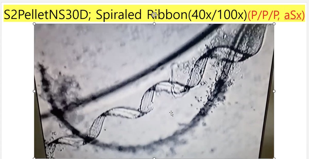 RealDrJaneRuby's tweet photo. This is semen from a "healthy" 38 year old male, who took 3 Pfizer C19 shots TWO YEARS ago. This was incubated in normal saline (0.09%) and self assembled many of these 3-D ribbon structures in just 30 days!  The man reported no post injection side effects. 

Why is no one outraged ?