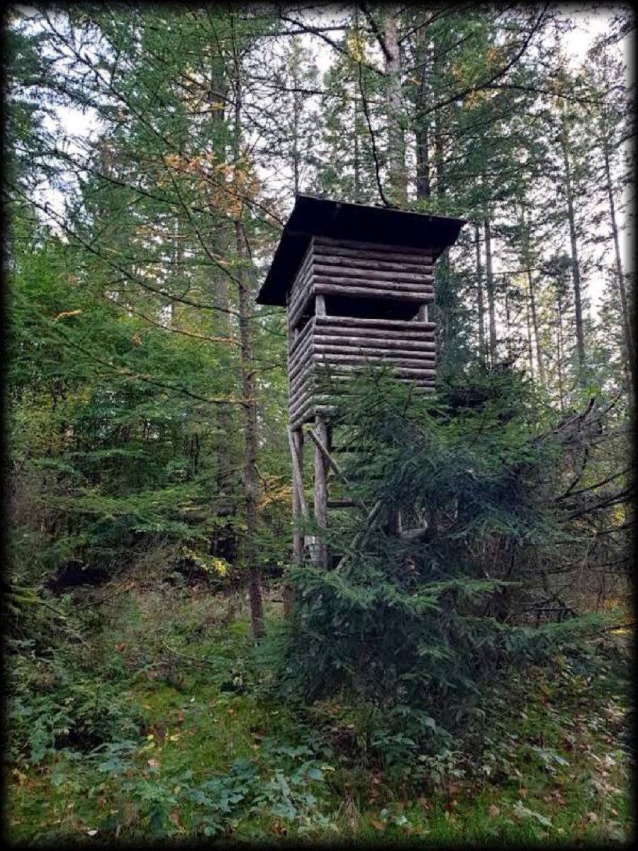 faunabeschermin's tweet image. Zo zien de zwijnen en herten je niet , zit je lekker droog en kun je ze makkelijk afschieten op de voerweide waar je hun galgenmaal serveert📯#hoogzit #hochsitz  jachthutten.nl