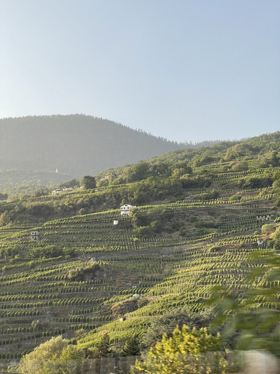 redtestwine's tweet image. อันที่จริงแล้ว #Italy ในเขตที่ไป เรียกว่า #Lombardy ที่มีมิลานเป็นศูนย์กลาง ช่วงเหนือๆ ก็มีภูเขา จะเห็นการปลูกองุ่นตามเชิงเขา ว่าจะได้ไวน์รสชาติดี คล้ายแถบที่เราอยู่ในสวิส

Good morning to you 😘😘😘
อุณหภูมิจะเพิ่มขึ้นในวันนี้ และมีแดด