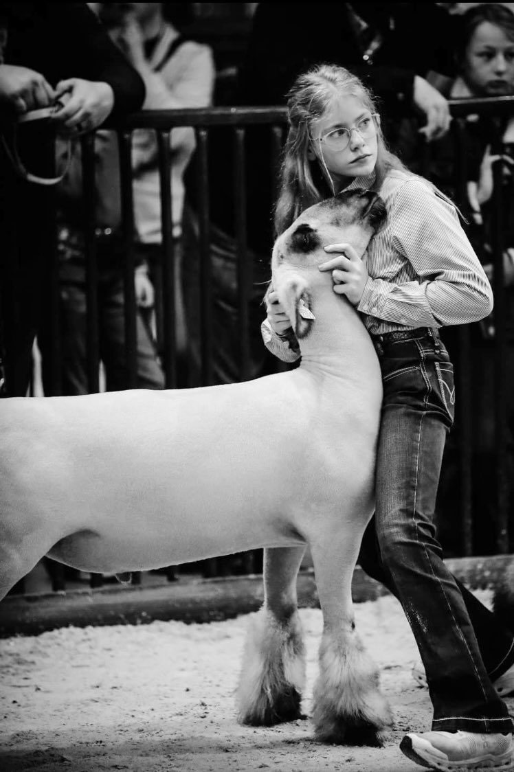 MccurryA2030's tweet photo. Not only am I a #multisportathlete , I also show Livestock and do competitive floral design!
@NationalFFA
#softball
#volleyball
#xcounty https://t.co/omWn9xX6Db