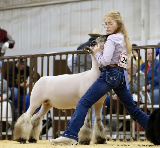 MccurryA2030's tweet photo. Not only am I a #multisportathlete , I also show Livestock and do competitive floral design!
@NationalFFA
#softball
#volleyball
#xcounty https://t.co/omWn9xX6Db