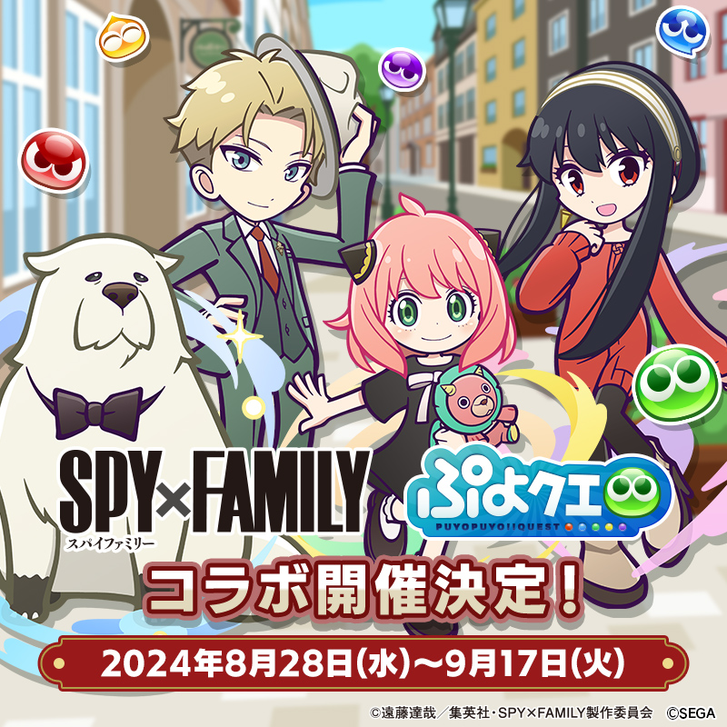 puyoquest's tweet photo. 8/28より【ぷよクエ TVアニメ『SPY×FAMILY』コラボ】開催✨
コラボ限定イベント『ぴーなつ収集祭り』や、コラボ限定キャラクターが手に入るスペシャルプレゼントなどの開催を予定しております‼
どうぞお楽しみに✨

https://t.co/uE7RZmf6Vf

#ぷよクエ #スパイファミリー #SPY_FAMILY