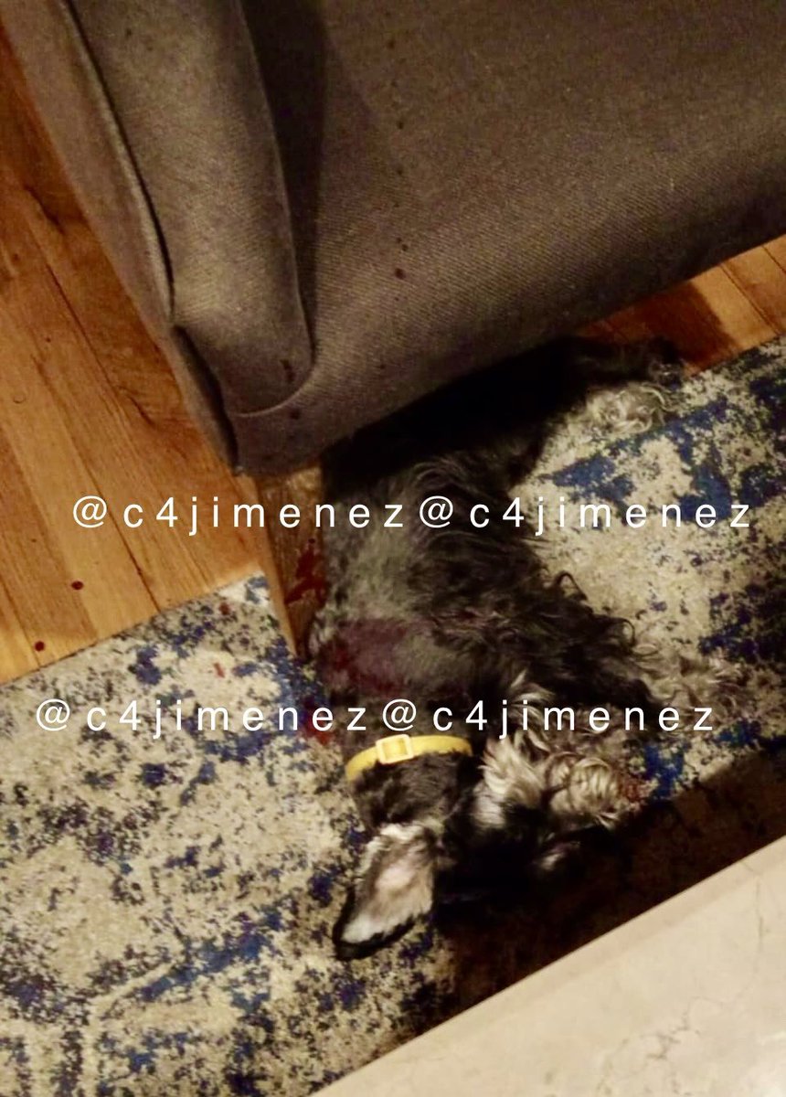 Carlos Jiménez tweet media