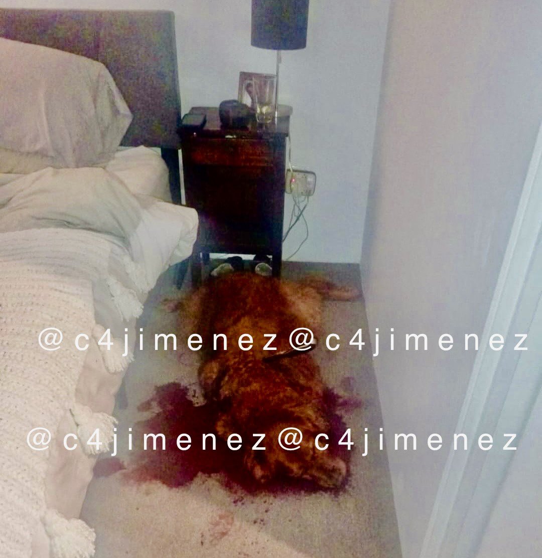 Carlos Jiménez tweet media