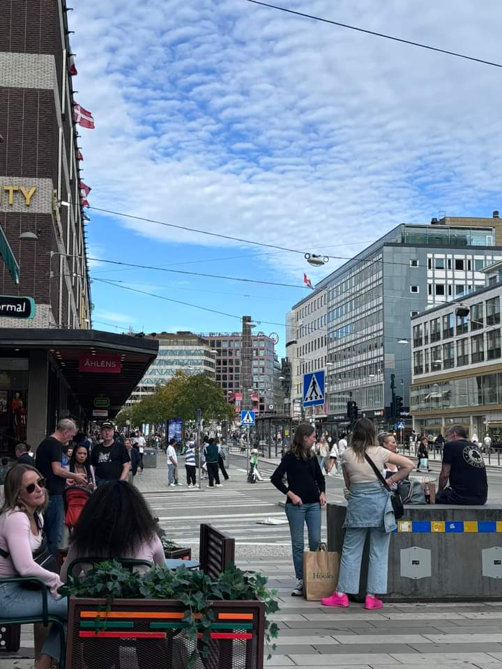 Chika_Alphonsus's tweet image. Enrollment for our Swedish Language Group Class on Telegram is ongoing.💃💃💃 Class starts in September.

 A 90days beginners class.  

If you have plans to relocate next year, now is the TIME ⏲ 

#SwedishForAfricanBeginners 
#SwedishLanguage 

foto: Stockholm Stad  🇸🇪