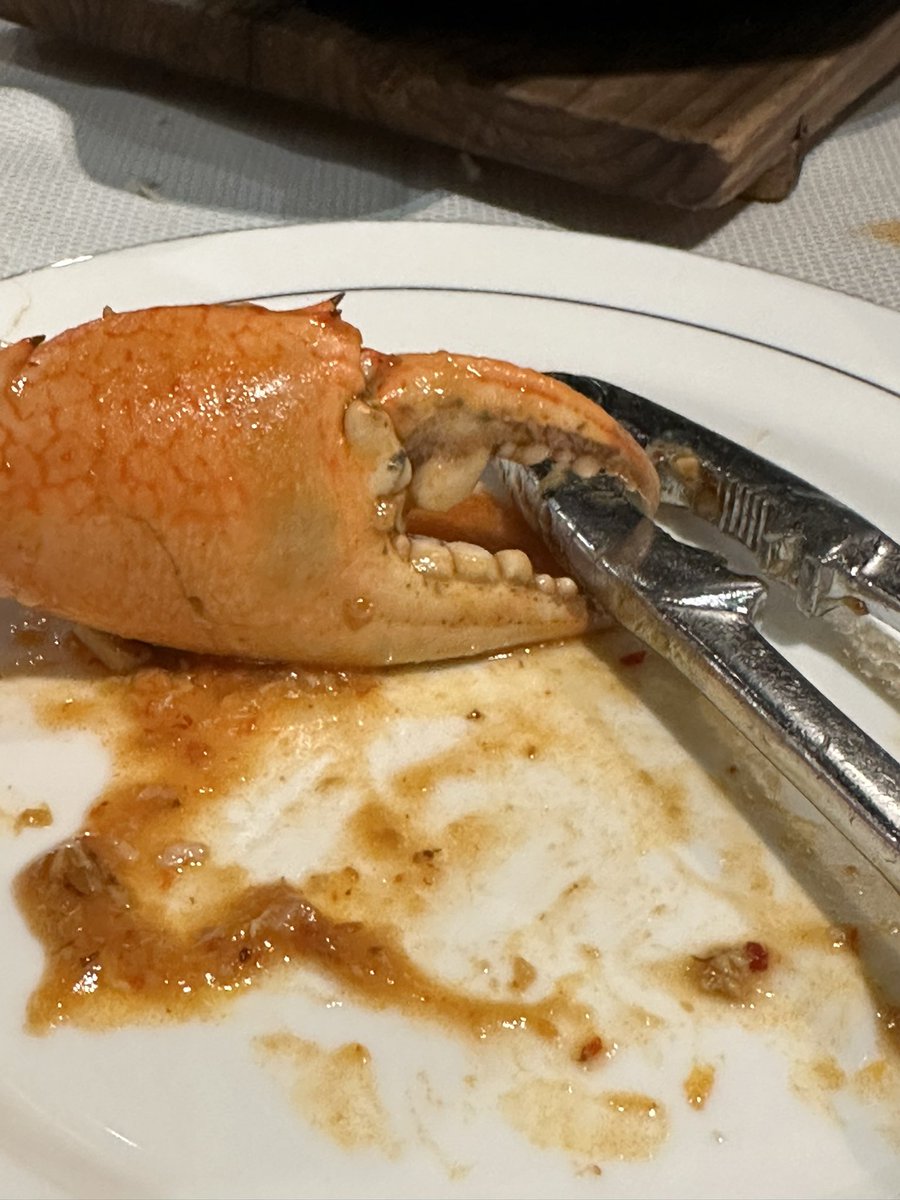 Anca Segall tweet media