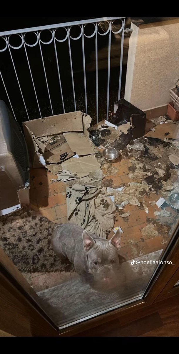 Increíble lo de maturro. Tiene que agradecer que juega a la pelota sino lo veíamos en los jornales solidarios. Hay que ser HDP para tener al perro así y dejarlo morir de hambre y sed, ojalá en unos meses este jugando en la C de aca por chupa pija @Ma13urro