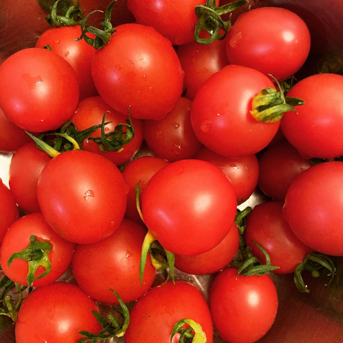 この実大好きです