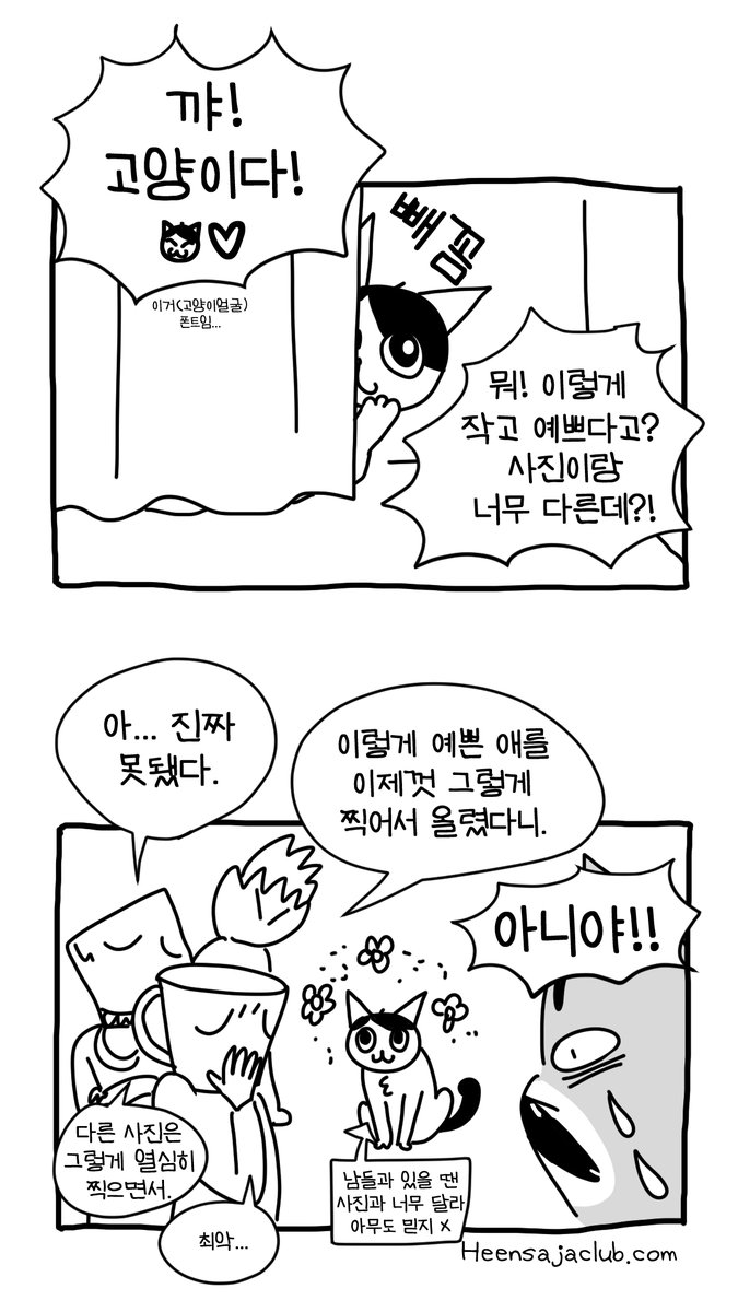 우리집 고양이 사회생활 스킬이 보통이 아니다 #뚝뚝만화데일리