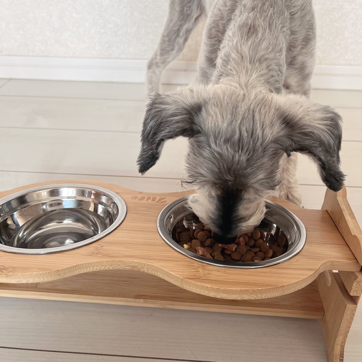 magudambo's tweet photo. #pr
@____7life 様より
竹製ペットフード ボウルスタンド
いただきました🐶
2段階の高さ調節ができ
15度の傾斜があるので使いやすそうです!
天然竹なのでおしゃれなのも嬉しいです♪
#7life #ペット用品 #ペットグッズ #犬グッズ #猫グッズ #フードボウル #フードテーブル https://t.co/lEwX5FhvIw