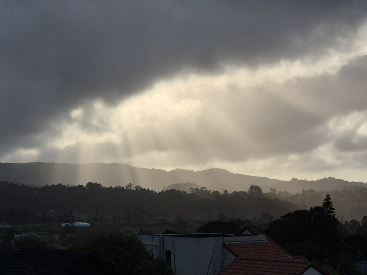 John Guy Johnston tweet media