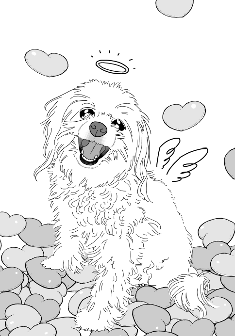 #世界犬の日 だったんですね、知らなかった～