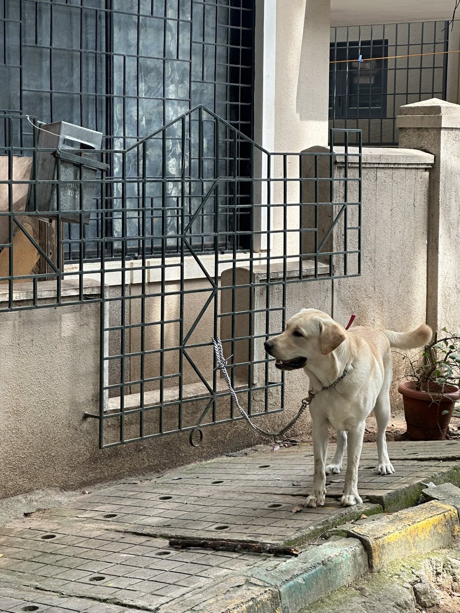 DIVYA MABEN tweet media