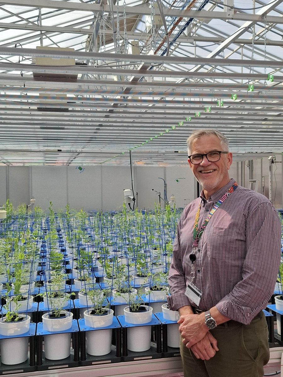 Australian Plant Phenomics Network tweet media