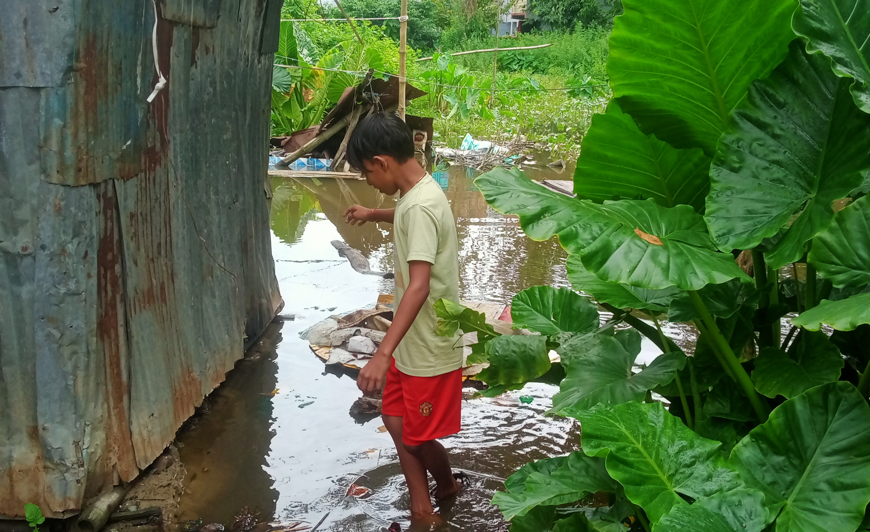 নড়াইলে রাতভর ভারী বৃষ্টিতে মুচিপোলসহ শহরের ঘরবাড়িতে ঢুকেছে পড়েছে জল