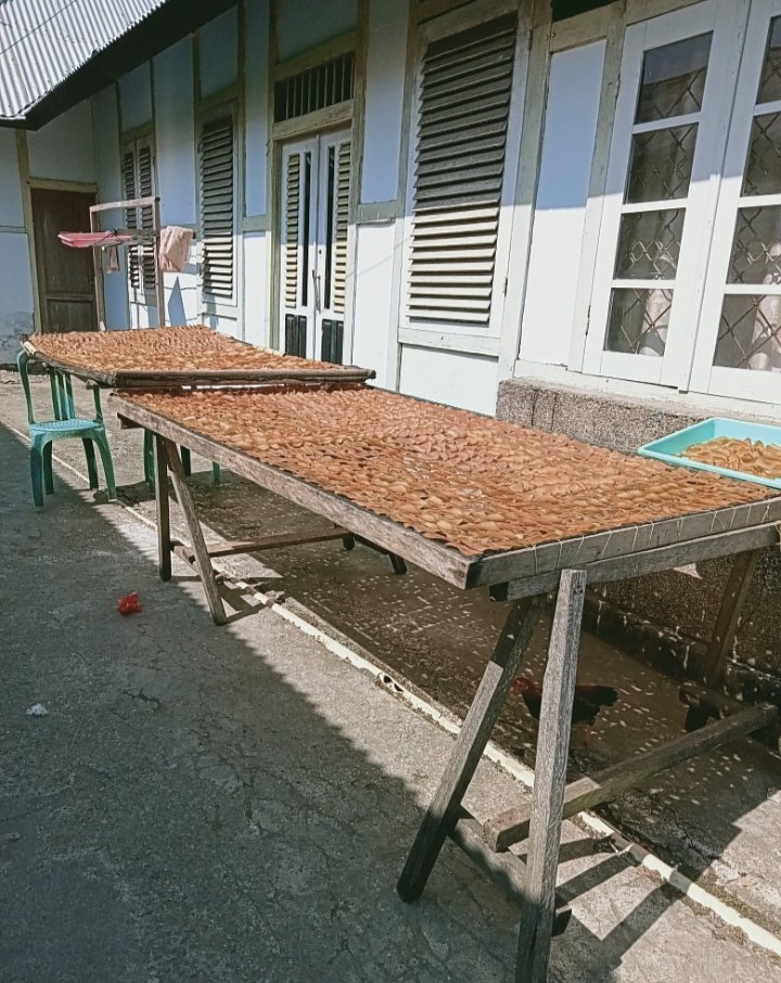 Halmia_Larijana's tweet photo. Selasa (27-08-2024), Halmia Larijana, Luhkan Kabupaten Halmahera Selatan di poklahsar Apar -Apar Desa Amasing Kota Barat Melaporkan Produksi Olahan Kerupuk ikan Bulan Agustus 2024 sebanyak 10kg harga jual
140.000/kg
#GiatLuhkanSatmingkalAmbon
#Luhlapor
#HalmaheraSelatan https://t.co/fBLO8m2DiJ
