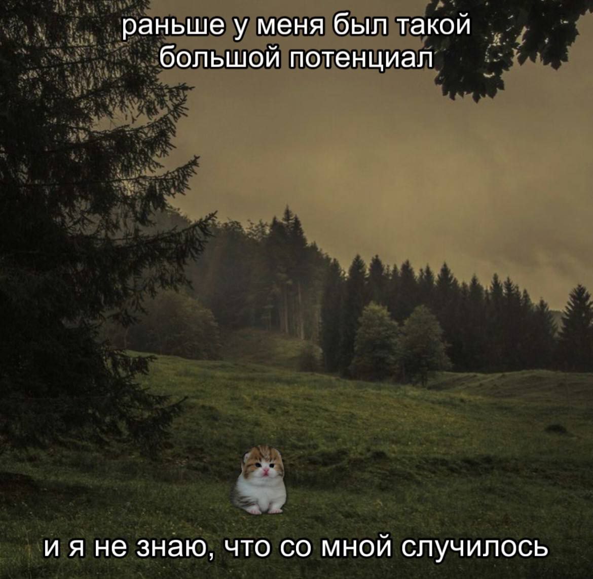 catsilcats's tweet photo. https://t.co/zWmjgHjqmt