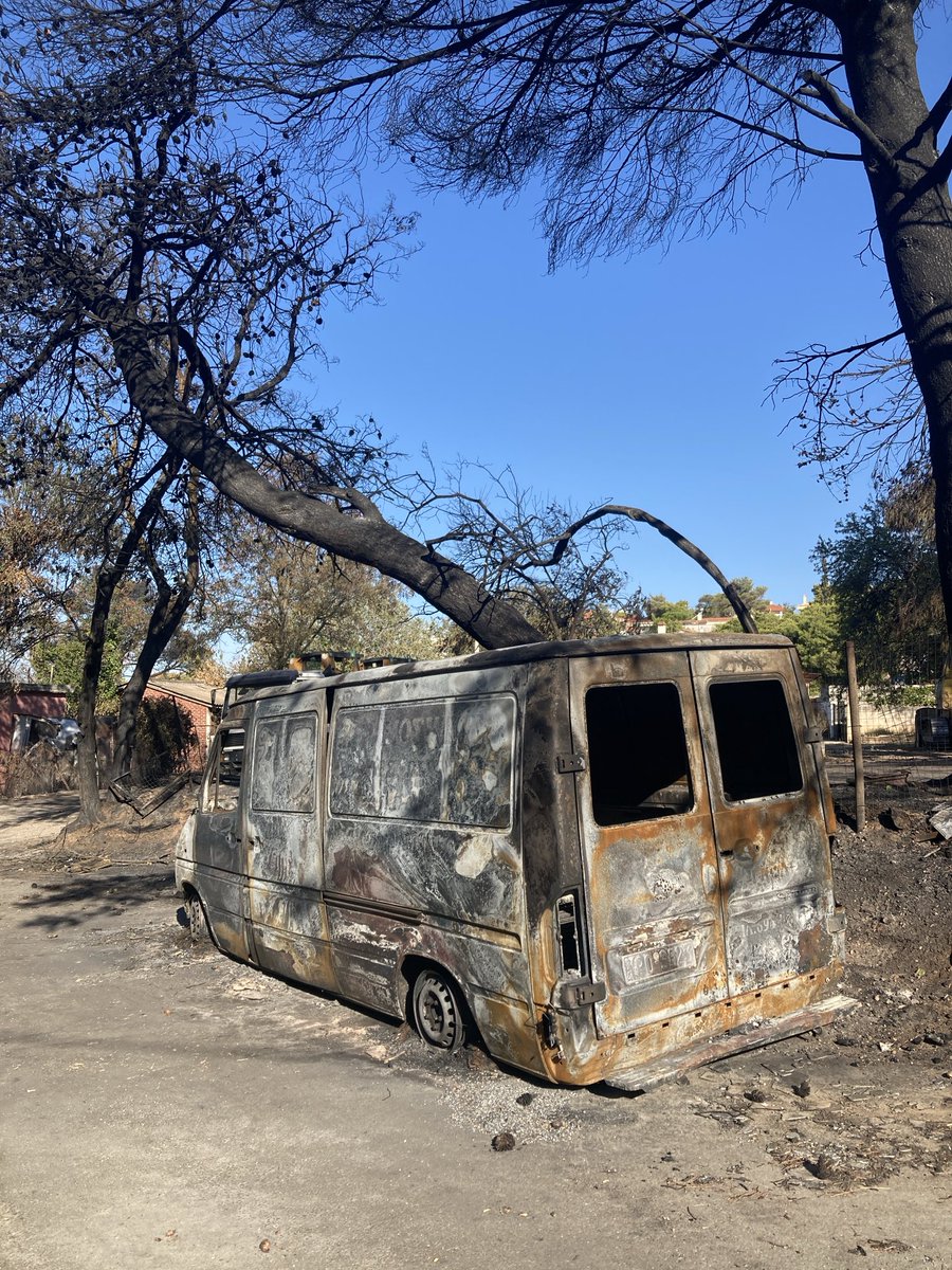 Lionel Feuerstein 🎈 tweet media