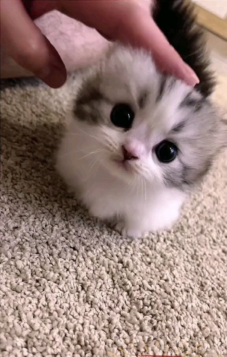 Good morning… 💜