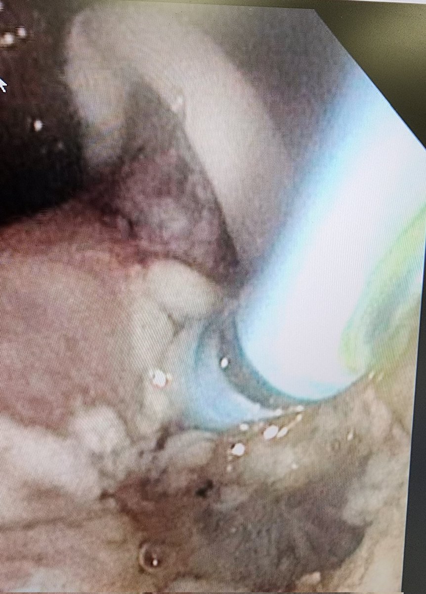 Aws Alameri tweet media