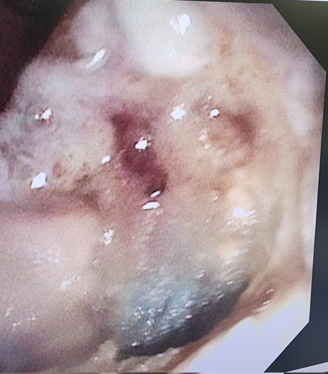 Aws Alameri tweet media