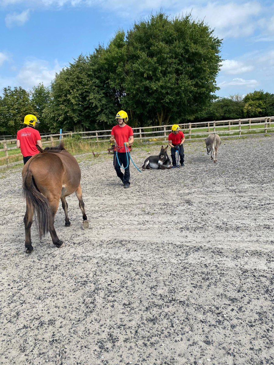 BANES_Fire's tweet image. A great day of training focusing on animal rescue @HorseWorldTrust! Lots of learning and development by all involved including the 🐴! No horses were harmed during this day🤣🤣🤣🙈! Thankyou to @HorseWorldTrust for facilitating this day 😀 #notjustfires @AFRSTraining