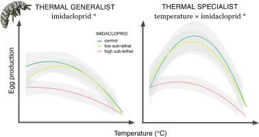 Katrine Borgå tweet media
