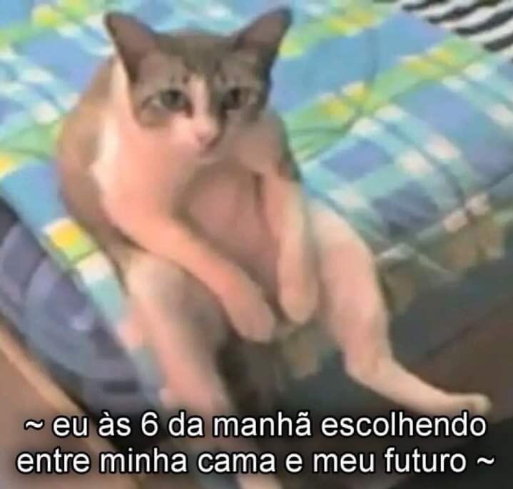 shitpostverdade's tweet photo. https://t.co/HJjb3ht2ga