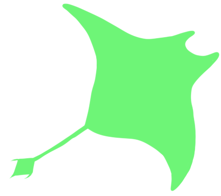Catoblepon's tweet photo. Manta ray demanded today to be her turn! She loves dancing around and people look her up as an art symbol!
https://t.co/Je76Fy83Hl https://t.co/paSrh2cE3v