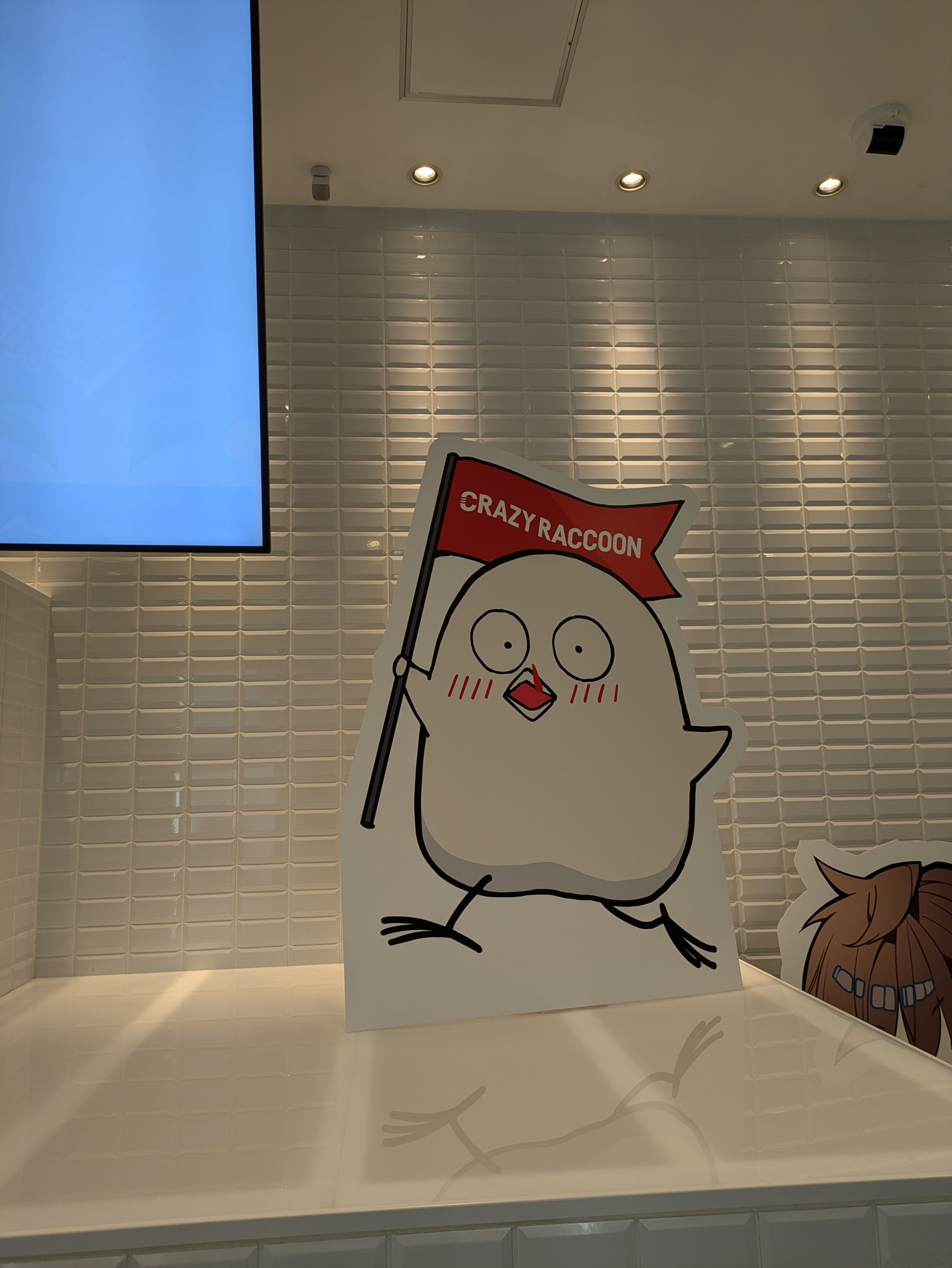 Crazy Raccoon Tシャツ かずのこ どぐら ボンちゃん シュート Crazy