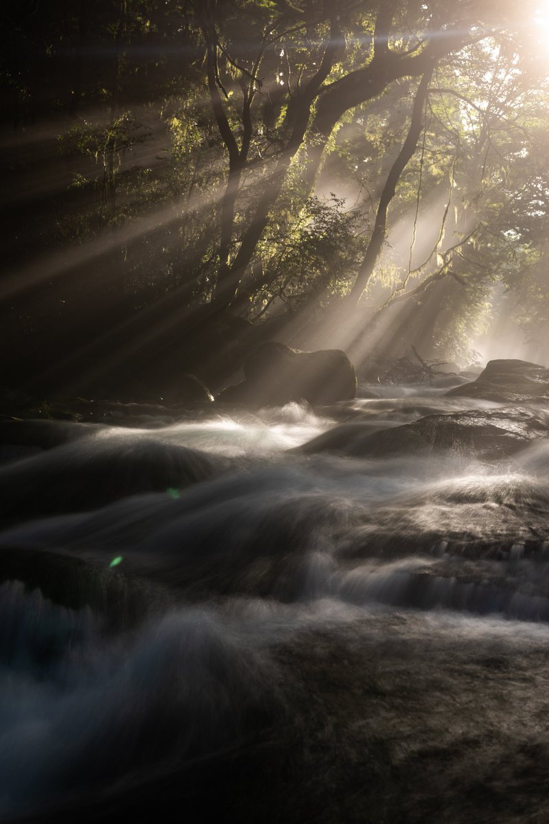 tsukougei's tweet photo. 今年も中々行けそうにないです!
菊池渓谷に行きたかったな〜
NIKKOR Z 24-70mm f/2.8 S
#Nikon
#Z7
#風景写真
#私とニコンで見た世界
#滝
#菊池渓谷
#cokin
#Landscapephotography
#過去写真 https://t.co/V1pjS1lVAa