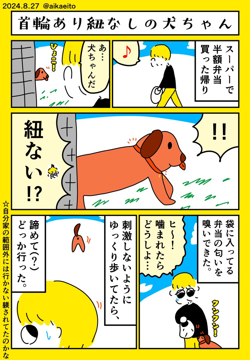 首輪あり紐なしの犬ちゃん 