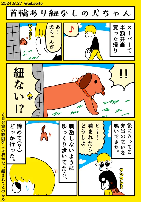 首輪あり紐なしの犬ちゃん 