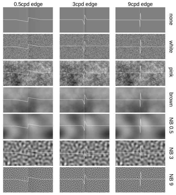 Lynn Schmittwilken tweet media