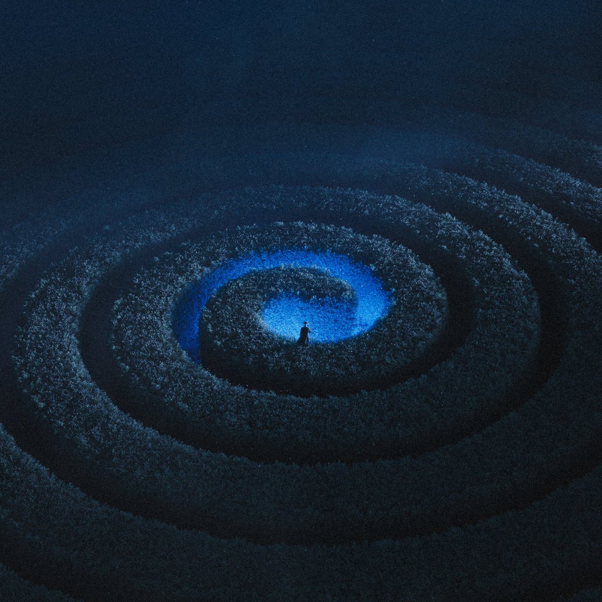 losing myself to blue hour