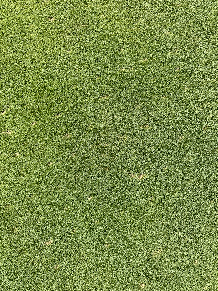 One week on for <a href="/DryJect/">DryJect Inc</a> and the recovery is coming along nicely at East Sussex national <a href="/KenSiems/">Siems Turfgrass Ltd</a> <a href="/JacobSiems/">Jacob siems Dryject</a>