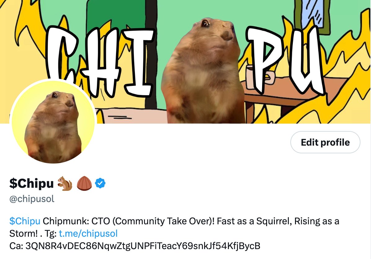 $Chipu 🐿 🌰 tweet media