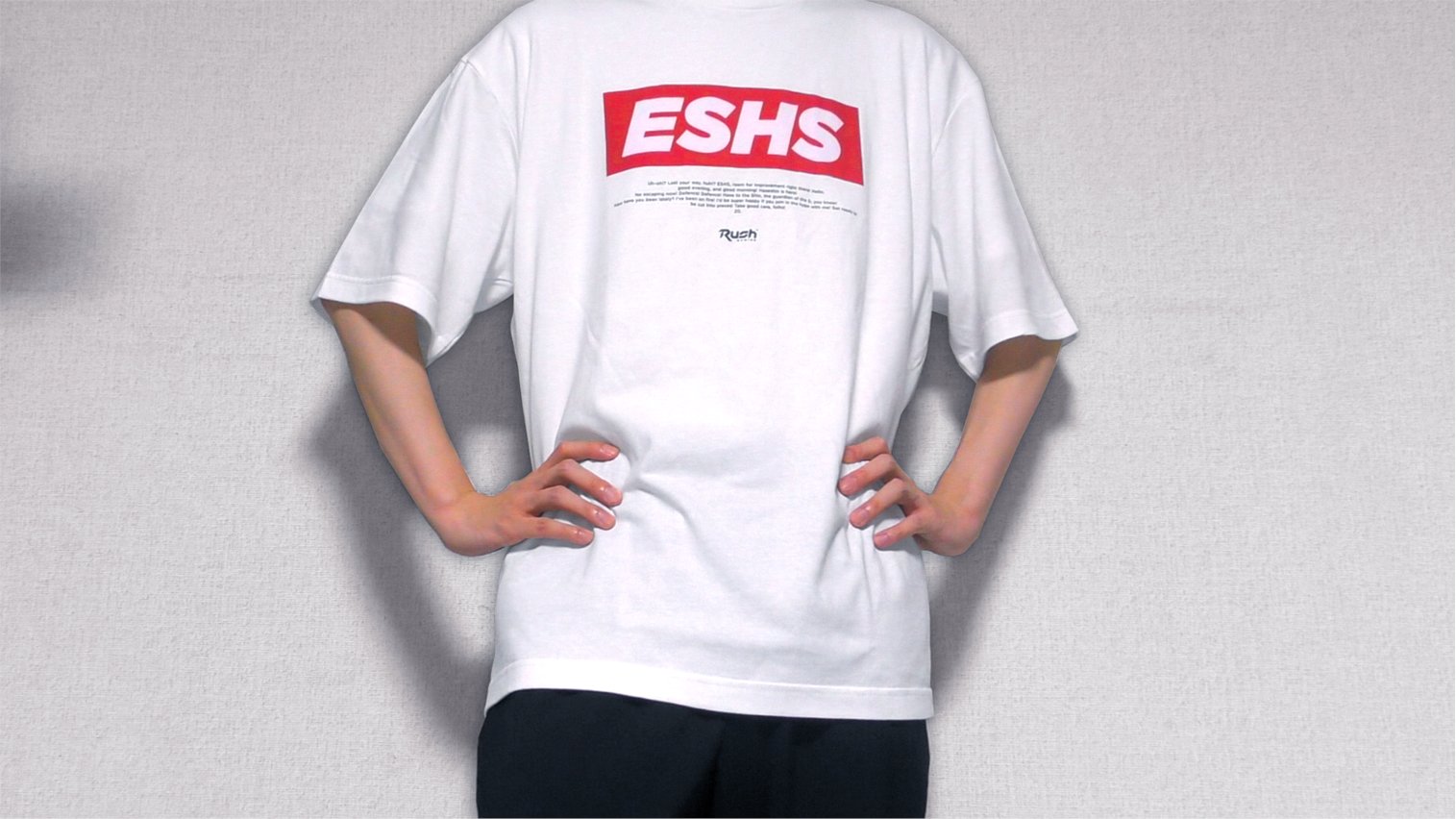 ハセシンさん ESHS 記念Ｔシャツ ハセシン☀Rush HASESHIN on X: 