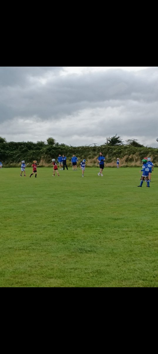 Déise Óg Waterford tweet media