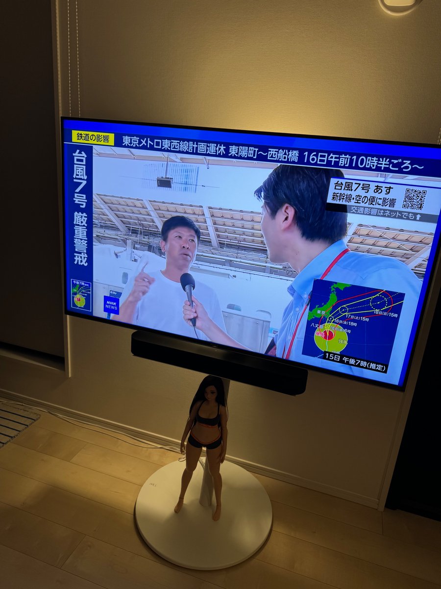 Smartdoll Land tweet media