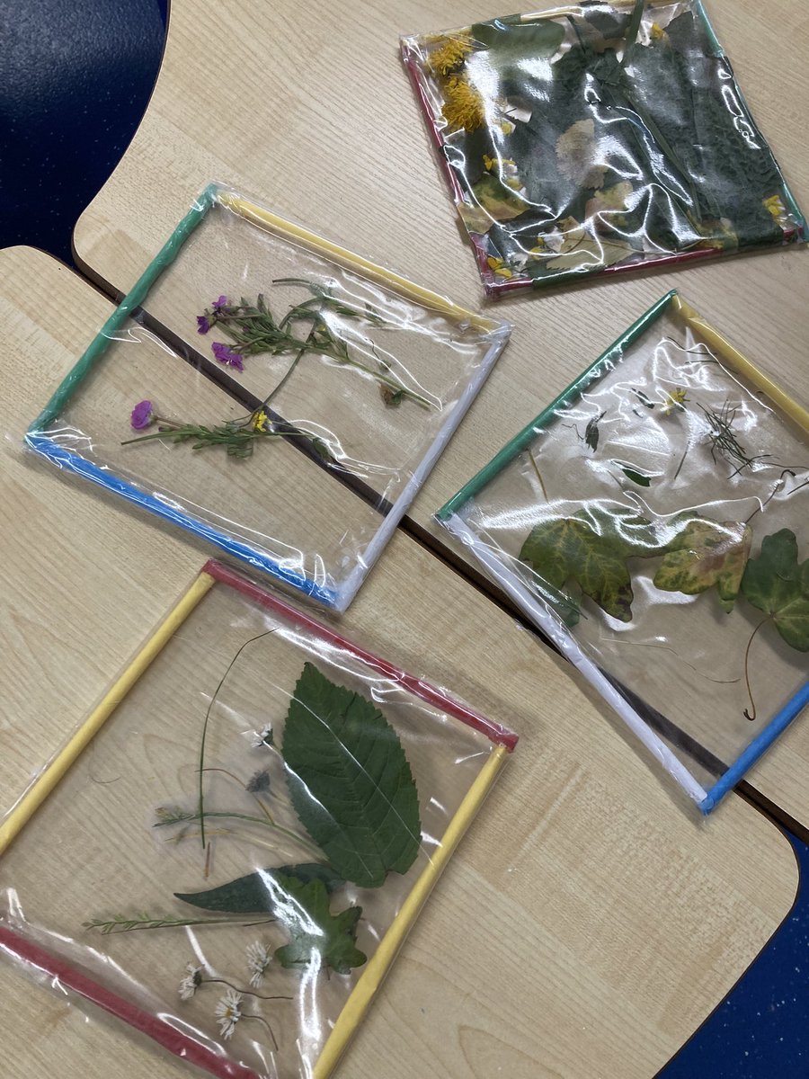 Fun playing games outside and beautiful nature pictures today so far at holiday club! 😍🤩😊