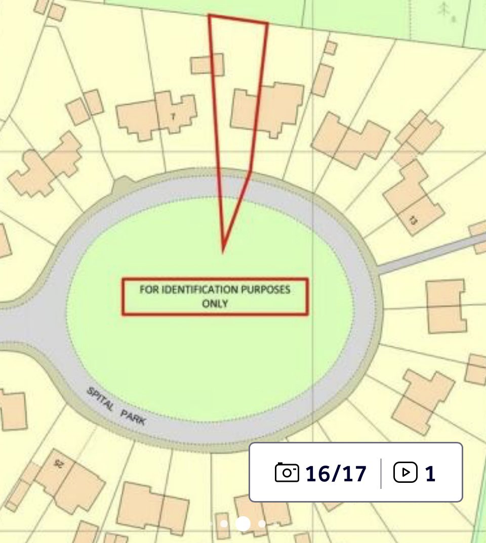 michele 💙 tweet media