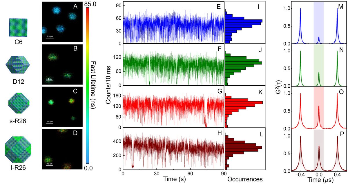 vishnuek_'s tweet photo. We found that increasing the number of facets on perovskite NCs (from cube ➡️ rhombic dodecahedron ➡️ rhombicuboctahedron) significantly enhances biexcitonic quantum efficiency. 📉
🌟 More facets = less Auger recombination = higher biexciton quantum efficiency. 🌟
#MicroTime200 https://t.co/S1CIDRVcqn