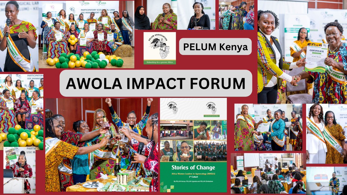 Key highlights from the Africa Women Leaders in Agroecology (AWOLA) Initiative Impact Forum that took place on 13th August 2024

Read the AWOLA Stories of Change 👇pelumkenya.net/wp-content/upl…

For partnership, contact us at  info@pelumkenya.net