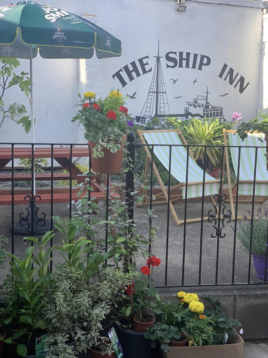 Bringing me sunshine  <a href="/shipinnreturns/">Ship inn Hull</a>